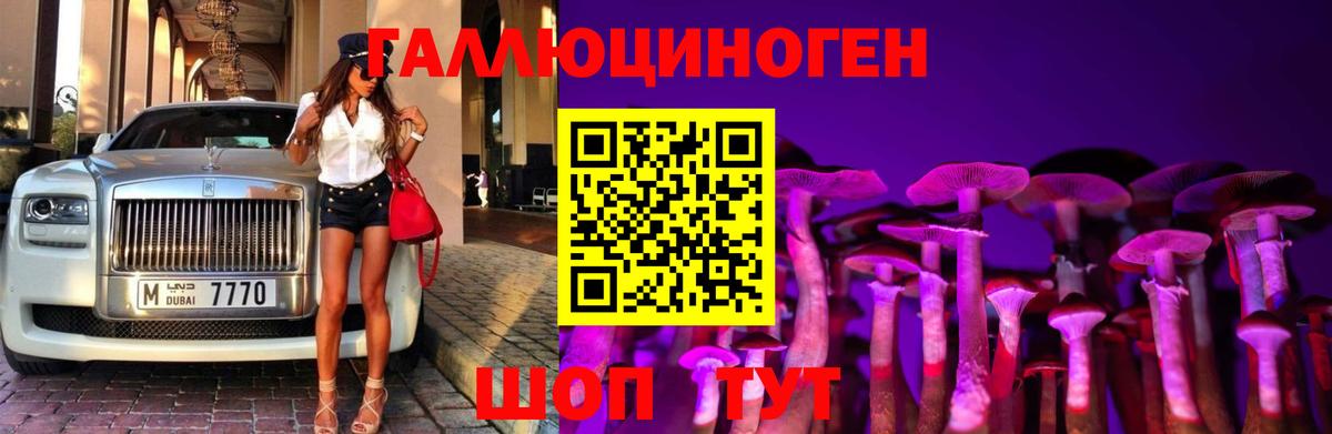 Псилоцибиновые грибы Magic Shrooms  Вход с VPN  Кемерово 